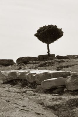 sounio06-bw.jpg