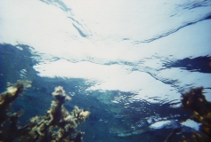underwater05.jpg